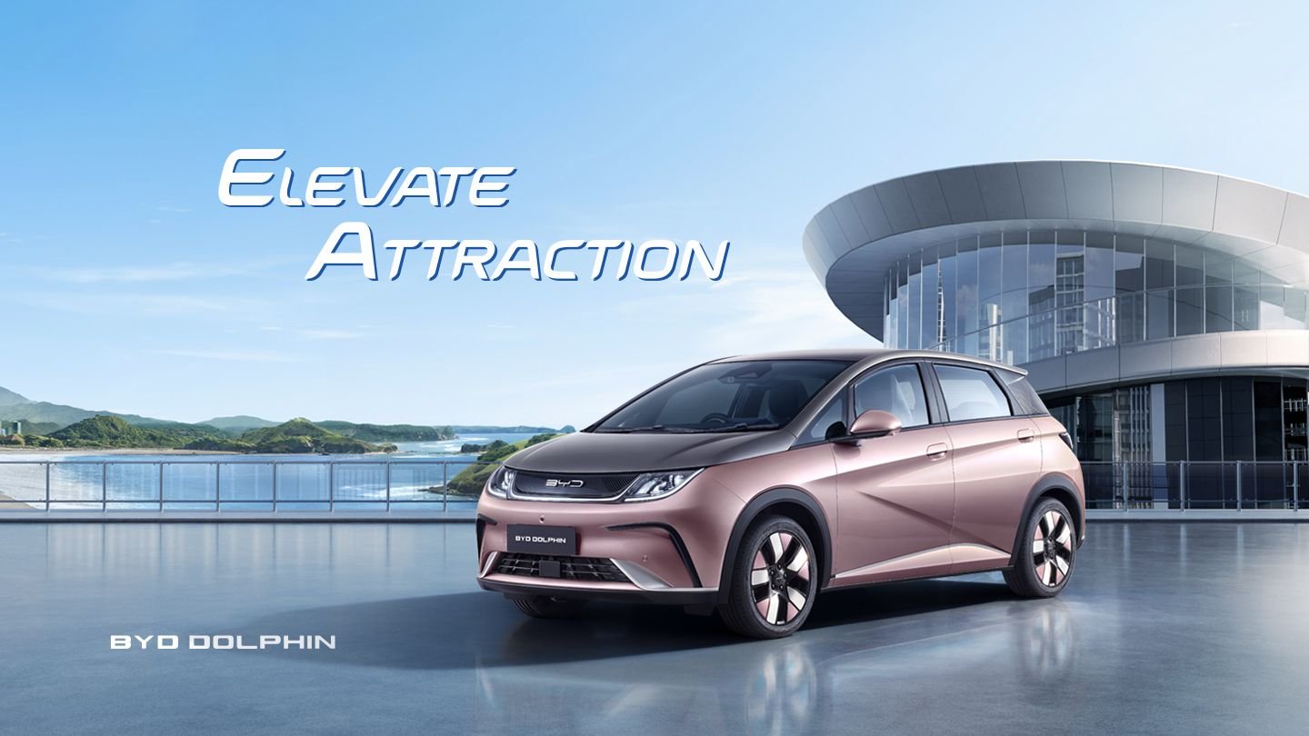 Home Banner Dolphin_7 (1)